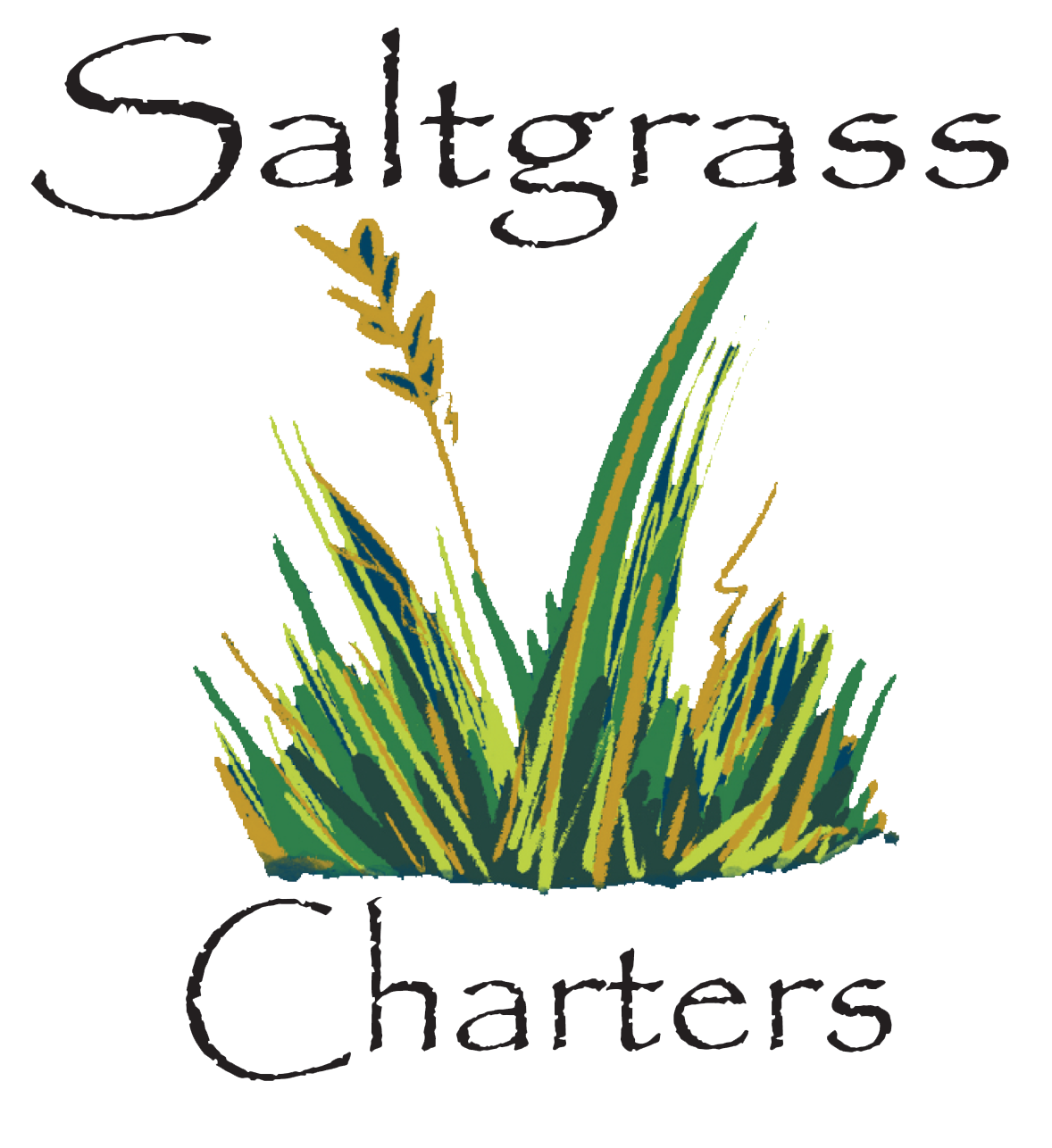 Saltgrass Charters